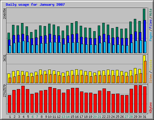 Daily usage for January 2007