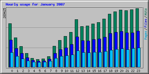 Hourly usage for January 2007